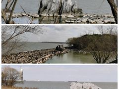 -上海吴淞炮台湾国家湿地公园