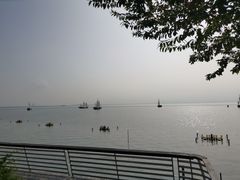 -贡湖湾湿地公园