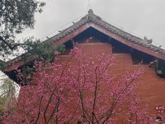 -洛阳白马寺