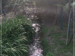 -白水寺森林公园