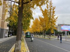 -四川大学(华西校区)