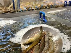 -半岛听涛蒸汽海鲜自助(K11店)