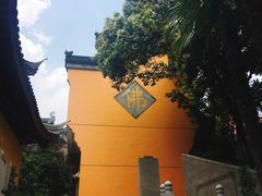 -鸡鸣赐茶(鸡鸣寺路店)