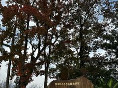 -江心屿景区