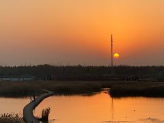 -盐城丹顶鹤湿地生态旅游区