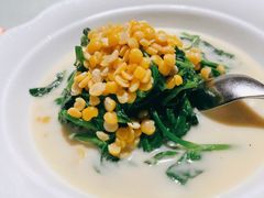 鲜豌豆瓣煮豆尖-陆壹捌餐厅(五大道店)