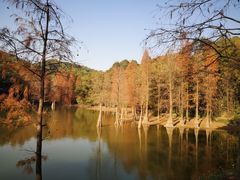 -广州市白云山风景名胜区