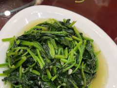 -杨正宗烤全羊(北二环店)
