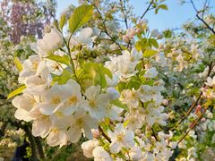 -元大都城垣遗址公园