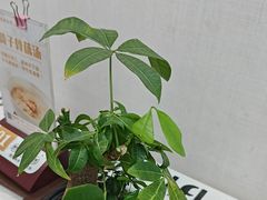 -茶港食堂(武昌店)