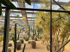 -南宫五洲植物乐园