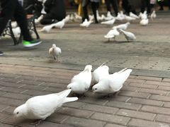 -王府井奥莱临潼小镇(临潼店)