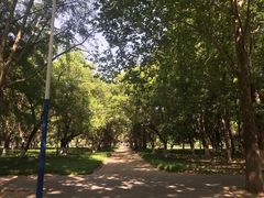 -西北农林科技大学(北校区)