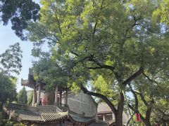 -关中书院
