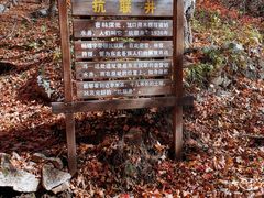 -龙道沟景区