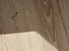 -杭州西湖湖滨银泰亚朵酒店