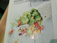 -油梨树AVOCADO TREE(望京店)