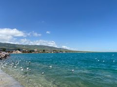 -青海湖国家重点风景名胜区