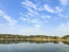 -溱湖国家湿地公园