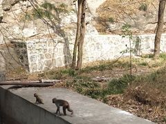 -北京上方山国家森林公园