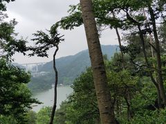 -黔灵山公园