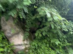 -秦岭终南山世界地质公园翠华山景区