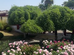 -洛阳古墓博物馆