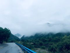 -秦岭风景区