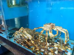 -海大大蒸汽海鲜餐厅·粤菜·特色小炒(欢乐颂店)