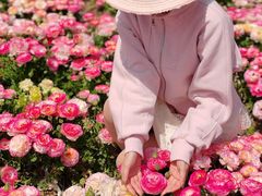 -上海鲜花港