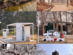 -思念果岭悦温泉