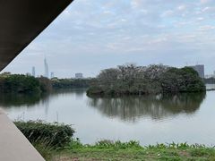-海珠湖公园