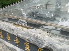 -玲珑塔公园
