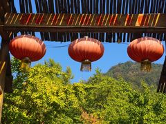 -遵化市禅林寺古银杏风景园