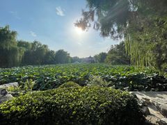 -莲池书院博物馆