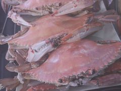 -大锅强·蒸海鲜青岛菜(吾悦广场店)