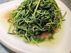 -侬佳蒸菜馆(听潮店)