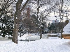 -北海道厅旧本厅舍(旧本庁舎)