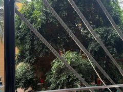 -北国之春国宴(乌兰察布店)