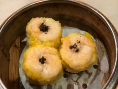 黑松露烧麦-糖朝(尖沙咀店)