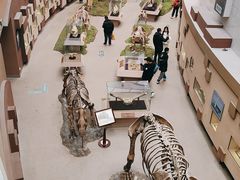 -陕西自然博物馆