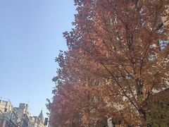 -南京路步行街