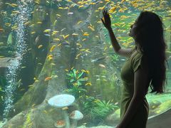 -合肥海洋世界