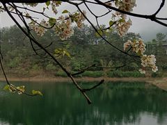 -仙岛湖旅游风景区