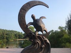 -广东惠东海龟国家级自然保护区