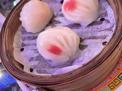 -憶廟街 X 沙角邨(太古城店)