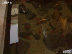 -泉乐坊步行街(烟酒特产平价超市店)