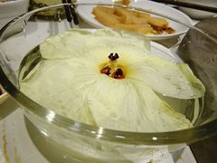 -七采菌园·石锅鱼野生菌火锅(环城北路店)