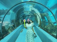 -乐从天佑城海洋馆
