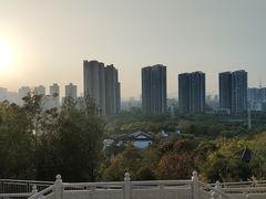 -广东花都湖国家湿地公园